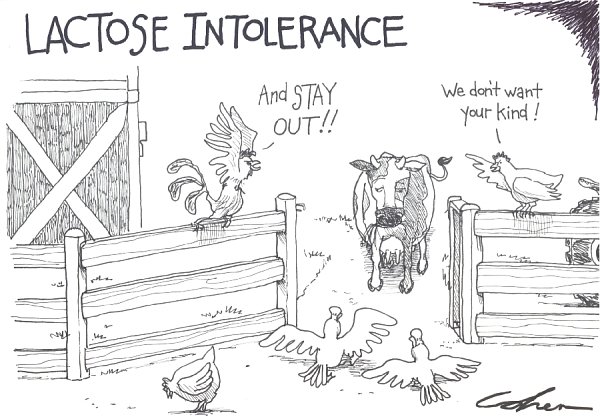 lactose-intolerance.jpg