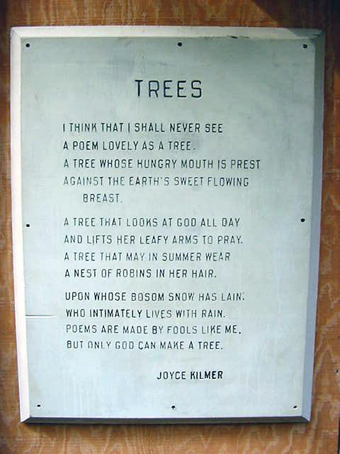 trees pictures. Trees, a poem by Joyce Kilmer