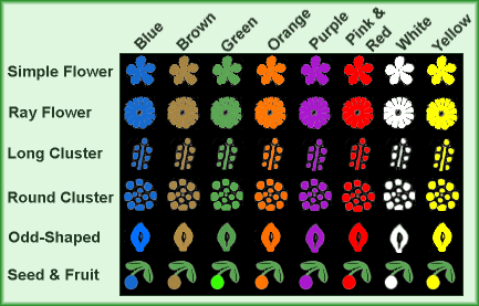 Image Map of Plants by Color and Type