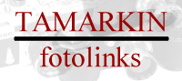 fotolink.gif (9544 bytes)